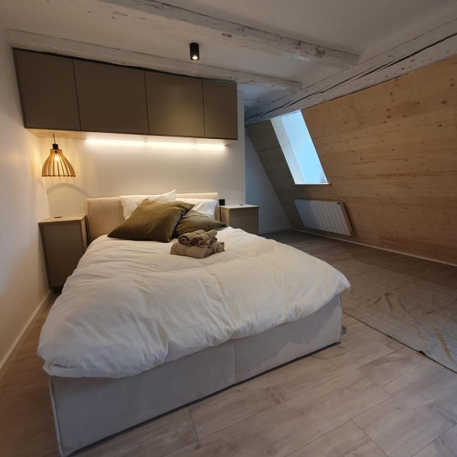 Les Appartements Hyper Centre Straatsburg Buitenkant foto