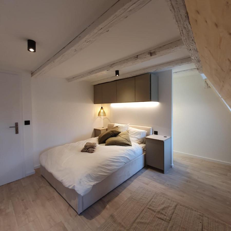 Les Appartements Hyper Centre Straatsburg Buitenkant foto